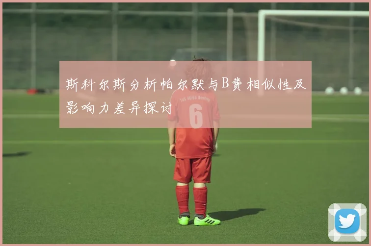 斯科尔斯分析帕尔默与B费相似性及影响力差异探讨
